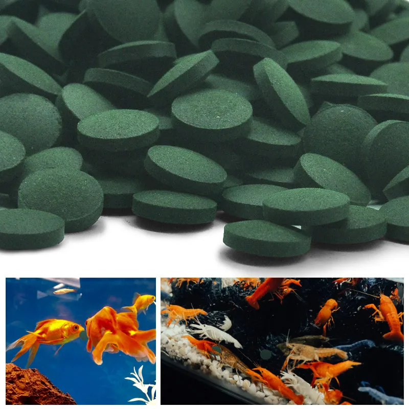Spirulina Tablet Organic - 100pcs High Purity Spirulina Tablets Spiral