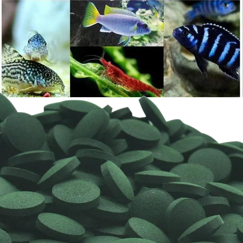 Spirulina Tablet Organic - 50/100/300/500pcs Spirulina Tablets Spiral Seaweed Concentrate